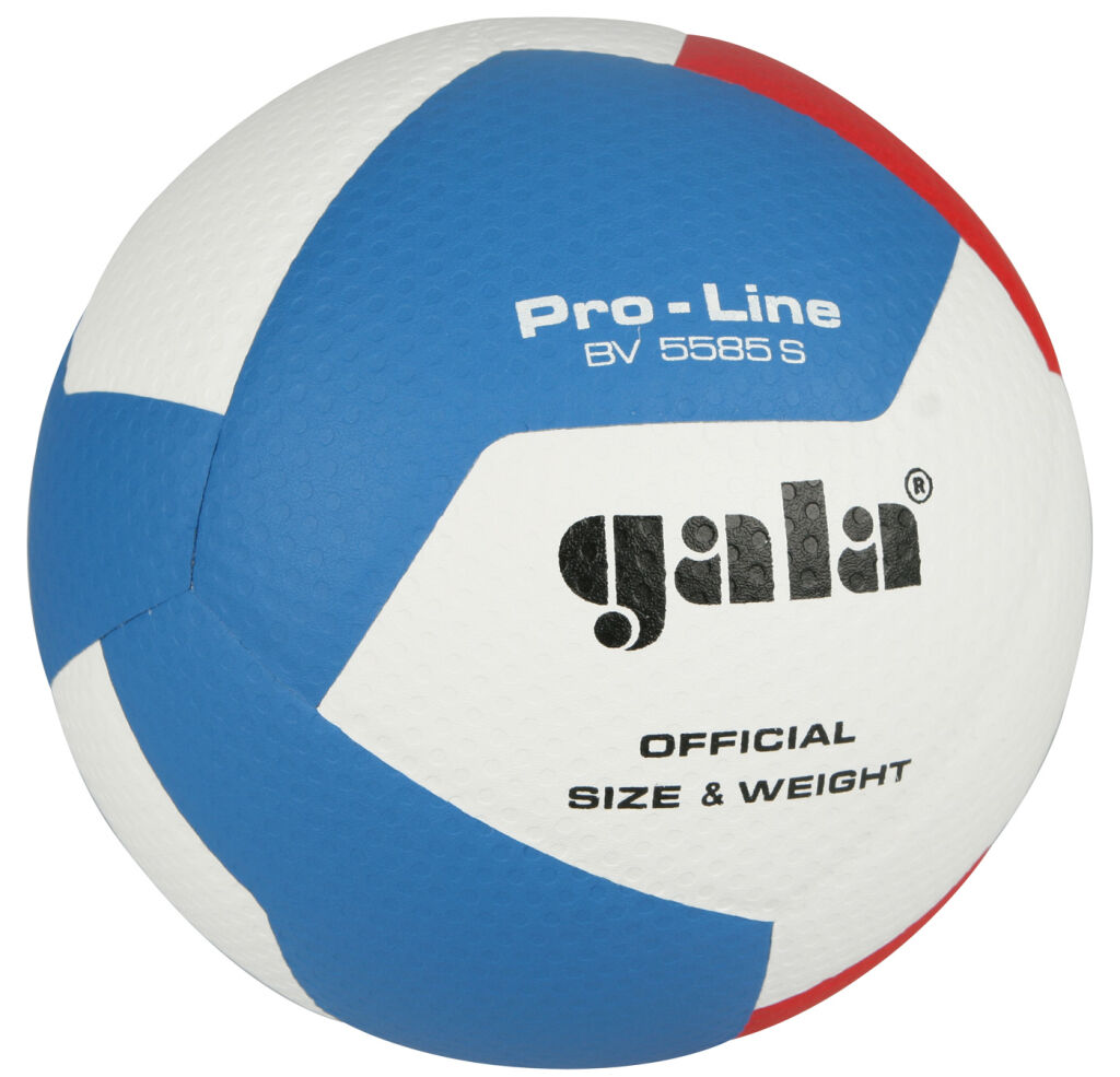 Volejbalový míč Gala Pro Line BV 5585 S