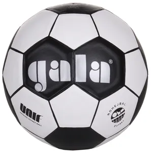 Nohejbalový míč Gala BN 5042 S